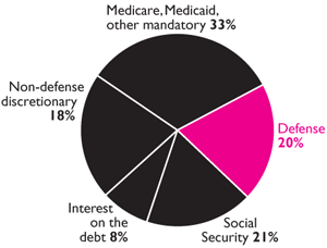the government's deceptive pie chart