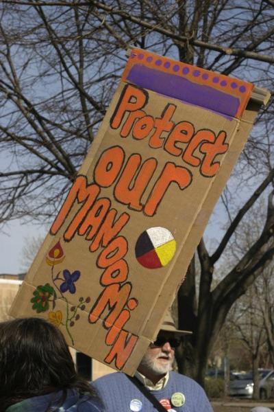 Protect our Manoomin sign