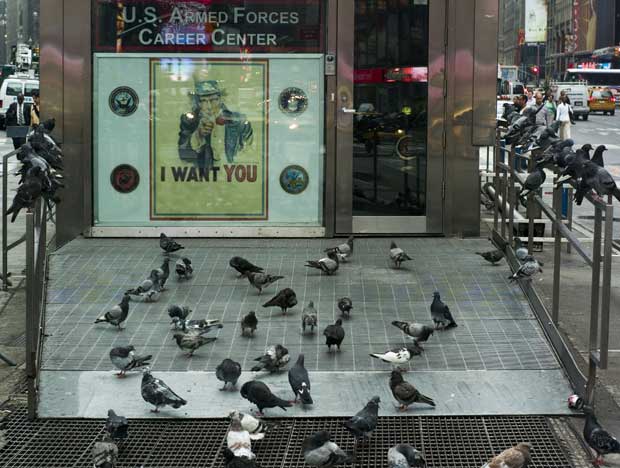 “Pigeons for Peace” or “military recruitment is for the birds.”